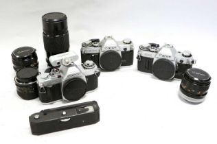 Canon Cameras