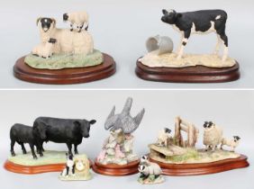 Border Fine Arts 'Wrong Side of the Fence' (Ewe and Lamb), model No. JH100 by Anne Wall, limited