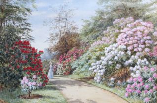 Marion Emma Chase (1844-1905) "Rhododendron" Signed, watercolour, 31.5cm by 47cm Provenance: Richard