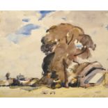 Frederick (Fred) William Mayor IS (1865-1916) Landscape with tree Signed, mixed media, 31cm by