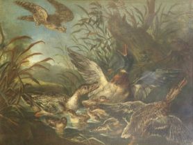 Follower of Giovanni Crivelli (1690-1760) Italian Bird of prey above a raft of ducks and ducklings