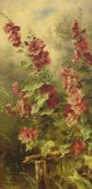 C*E* (late 19th century) A study of crimson Hollyhocks in bloom Initialled and dated 1898, oil on