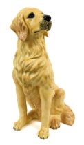 An Italian Earthenware Figure of a Golden Retriever, naturalistically modelled and painted seated
