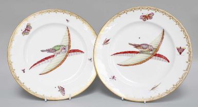 A Pair of John Rose, Coalport Plates, 19th century, each decorated with a blue tit perched upon a