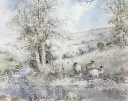 Nancy Dyson (Contemporary) Swaledale Sheep on the river bank Signed, watercolour, 34cm by 43cm