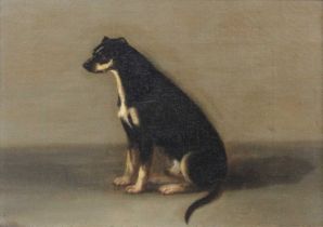 ~ British School (19th Century) ''Favourite Dog of Mrs Masters'' Inscribed to stretcher verso, oil