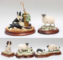 Border Fine Arts Sheep and Dog Models, including: 'Spring Lambing' (Swaledale Lamb and Ewes),