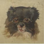English School (19th Century) Study of a dog in spectacles Oil on canvas laid down, 19cm by 19cm