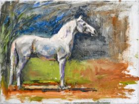 Jane Braithwaite (Contemporary) Study of a grey horse Signed, oil on canvas, 30cm by 40cm (