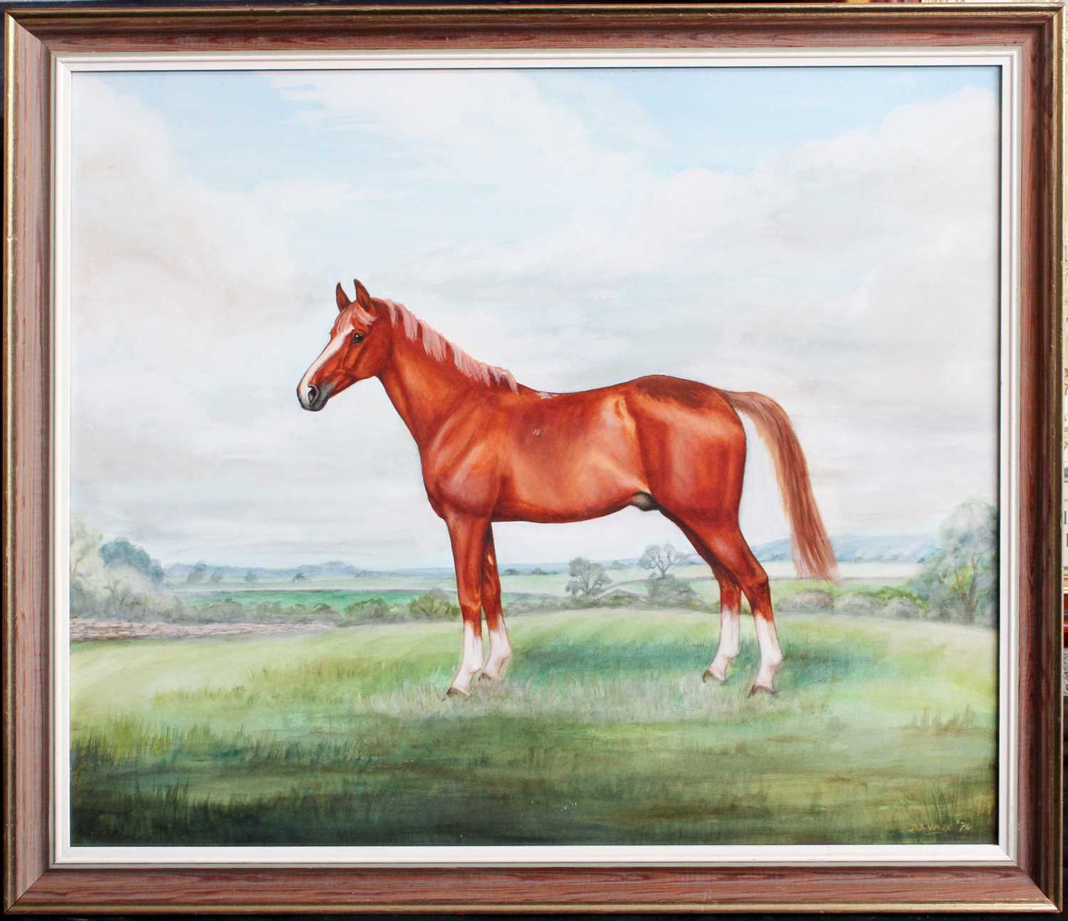 D*S* Vaux (20th Century) Study of a chestnut horse Signed and dated (19)74, watercolour, 49.5cm by - Image 2 of 2