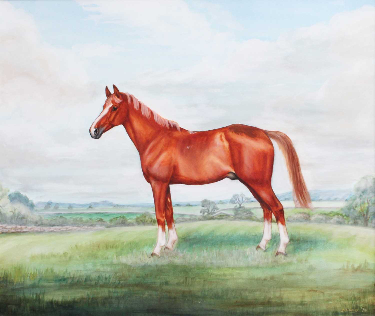 D*S* Vaux (20th Century) Study of a chestnut horse Signed and dated (19)74, watercolour, 49.5cm by