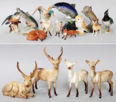 Beswick Fish and Birds, including 'Atlantic Salmon', 'Trout' 'Lapwing' etc.; together with various