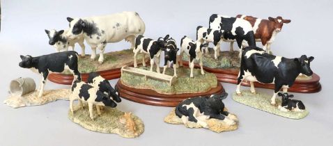 Border Fine Arts Cattle Models, to include 'Belted Galloway Cow & Calf', model No. B0005 by Anne