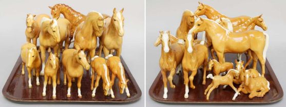 Beswick Palomino Horses and Foals, including 'Prancing Arab', ' Arab Bahram' etc., predominantly