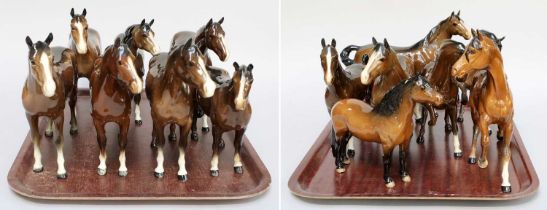 Beswick Horses, including Hackney, Dartmoor Pony, Quarter Horse, and various other brown gloss
