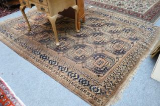 Afghan Turkmen Carpet, the walnut brown field with three rows of elephant foot guls enclosed by