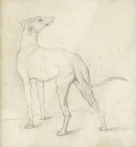 British School (20th century) Study of a greyhound Pencil, 14.5cm by 13cm