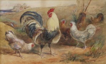 Charles Harvey Weigall (1794-1877) Rooster and chicken Signed, watercolour, 22cm by 32cm Frame