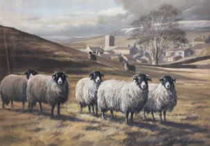 Robert Nicholls (Contemporary) "Sheep at Askrigg" Signed and dated 1980, pastel, 49cm by 69cm