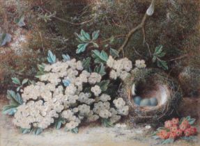 William Hough (1819-1897) Still life of a bird's nest with blossom branch and primroses before a