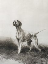 After Maud Alice Earl (1863-1943) Study of a pointer Signed, black and white print, 53.5cm by 40.