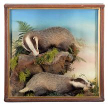 Taxidermy: A Cased Pair of Badger Cubs (Meles meles), circa 1880-1933, by Thomas Jefferies,