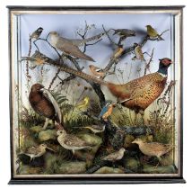 Taxidermy: A Late Victorian / Early Edwardian Mixed Diorama of British Birds, circa 1881-1912, by