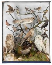 Taxidermy: A Late Victorian Diorama of British Countryside Birds, circa 1880-1900, a mixed diorama