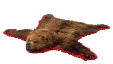 Taxidermy: A European Brown Bear Skin Rug (Ursus arctos arctos), circa 1900-1920, attributed to