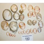 Quantity of antique loose shell cameos, some set into brooches