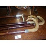 Three walking canes with horn handles and hallmarked silver collars. Also a leather cased riding