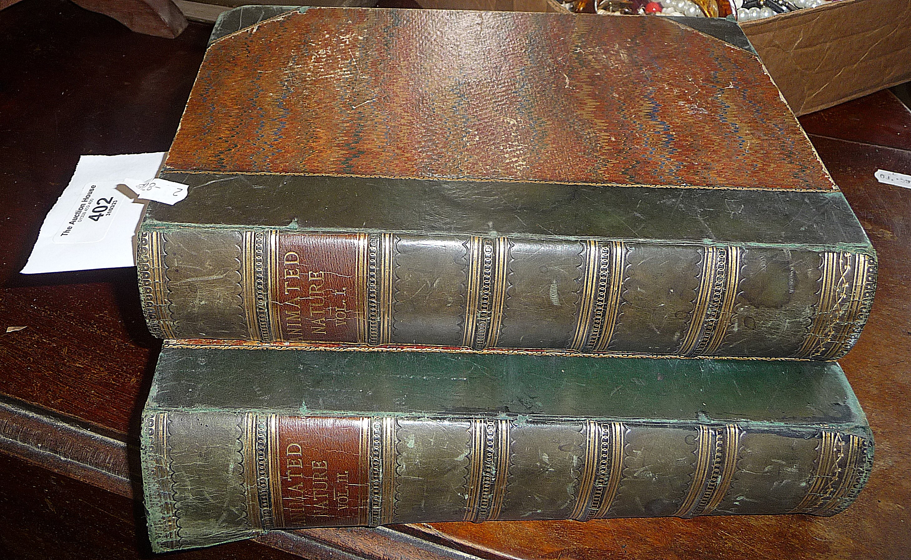 A History of Earth and Animated Nature by Oliver Goldsmith 1873, 2 vols half leather, illustrated