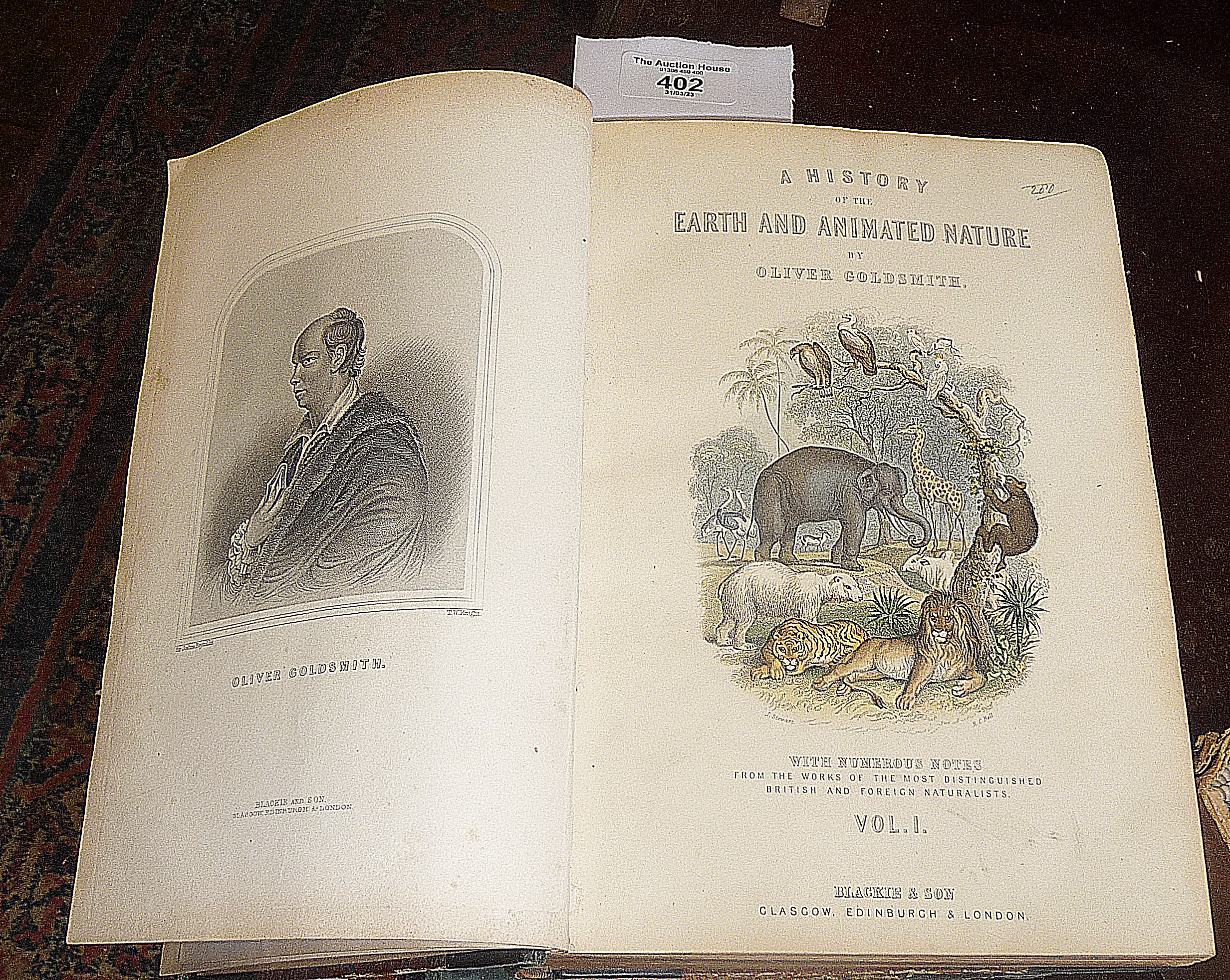 A History of Earth and Animated Nature by Oliver Goldsmith 1873, 2 vols half leather, illustrated - Image 2 of 3