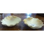 Pair Royal Worcester (51) blush ivory shell shaped sweetmeat dishes, puce mark