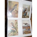 Album containing old postcards with a theme of birds and animals, some comical cats and dogs, c