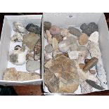 Assorted minerals and fossils