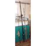 Fishing rods: a 12ft Daiwa Longbeam Beachcaster, a 10ft spinning rod and a light boat rod
