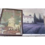 Framed Sunlight soap advert and a Laura Ashley print on canvas titled Lavender Fields