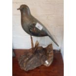 Antique painted wood decoy pigeon on later tree wood stand