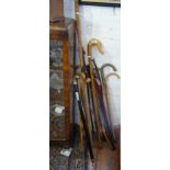 Bundle of assorted walking sticks and staffs, inc. a metamorphic umbrella walking cane