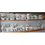 Collection of Portmeirion pottery mugs, cups and jugs, etc. (2 shelves)