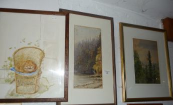 Three watercolours, two of trees in Canada by Iris Moody and another of a cat in a basket