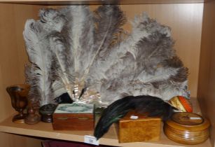 Ostrich feather and mother of pearl fan, other feathers and assorted wooden boxes, etc.