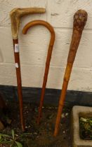 Three various walking sticks