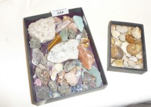 Collection of small minerals and fossils