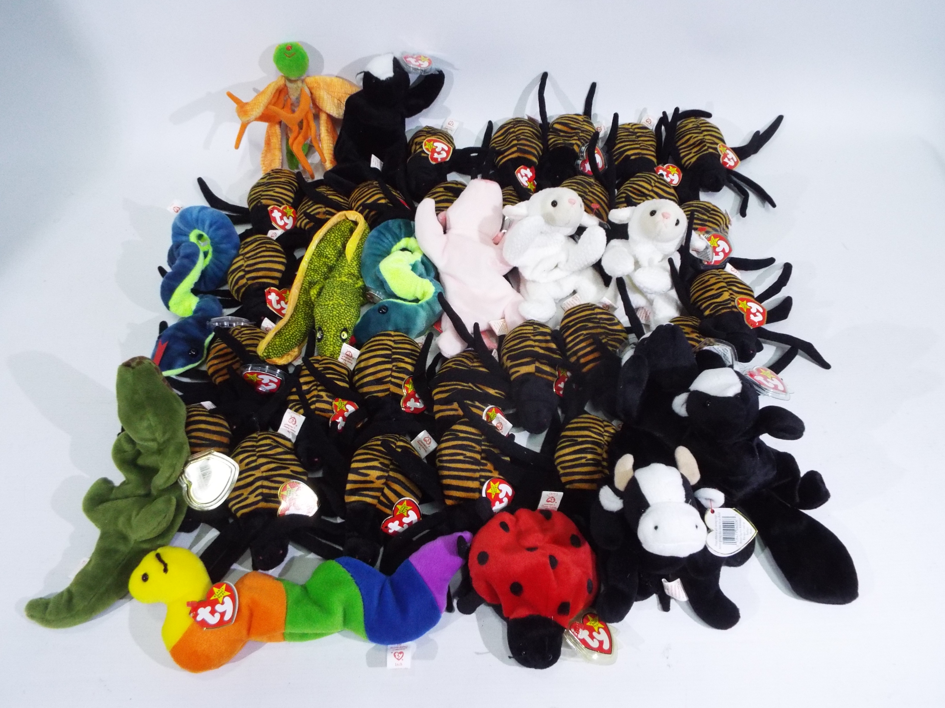 Ty Beanie - 40 x Beanie Babies - Lot includes 'Spinner' spiders, 'Hissy' snake,