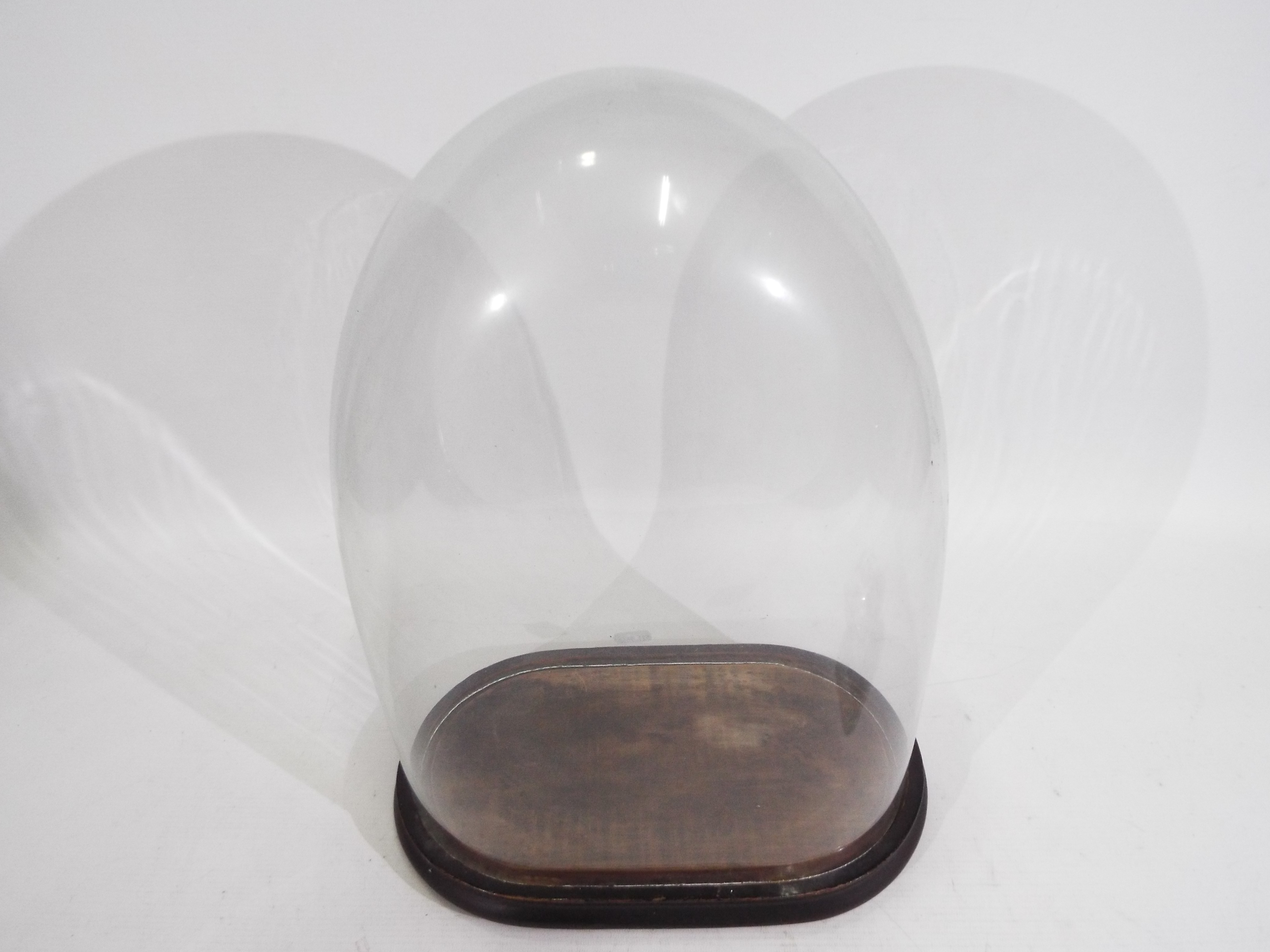 An antique glass dome on ebonised base, - Image 7 of 7