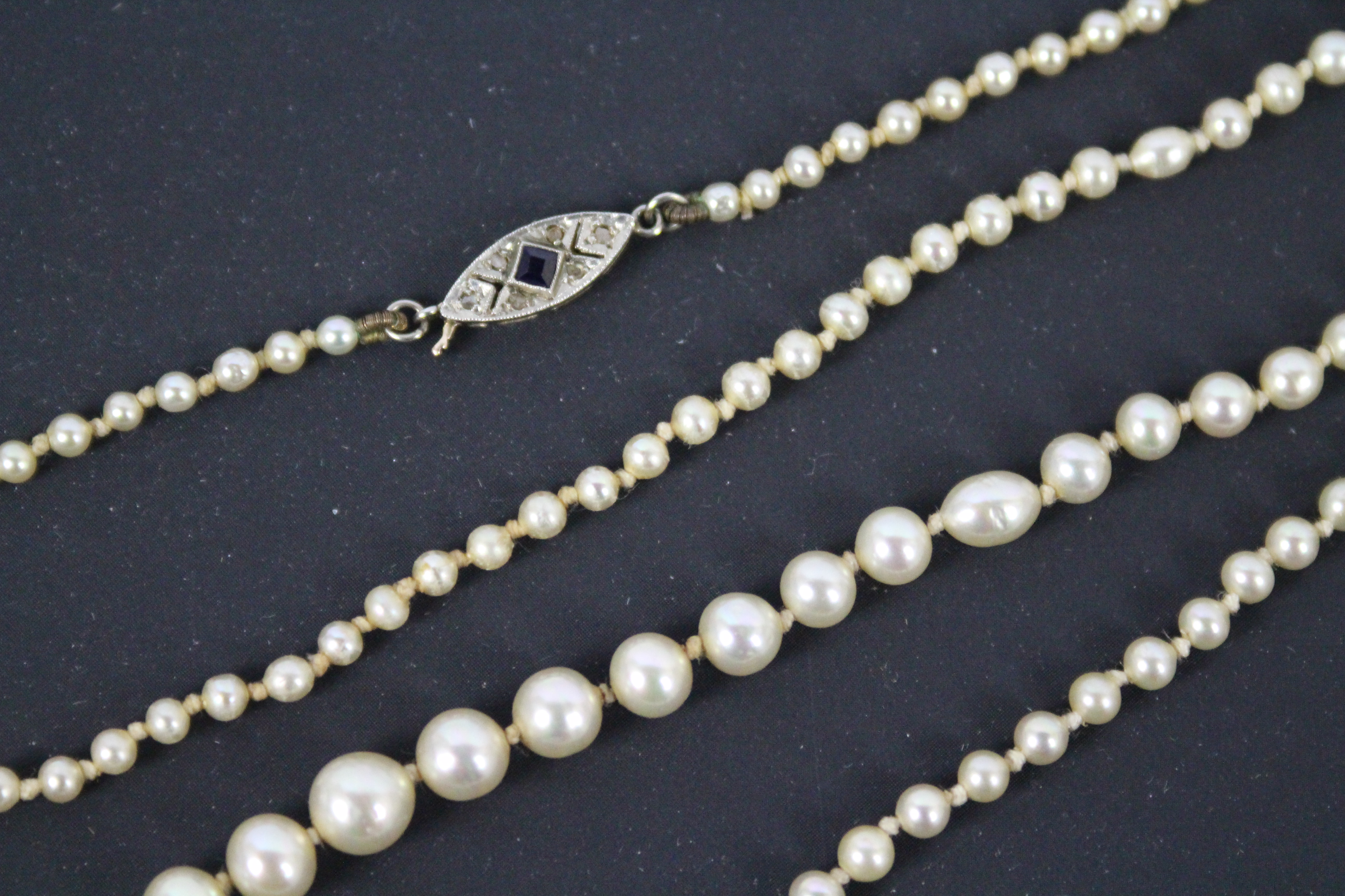 A necklace of graduated pearls with sapphire and diamond set clasp stamped 9ct, 60 cm (l). - Image 2 of 3