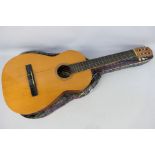 Spanish Classical Acoustic Guitar.