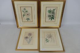 Four antique engravings depicting floral